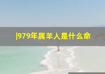 |979年属羊人是什么命